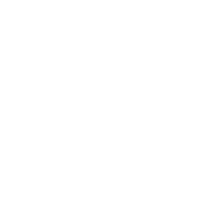 light logo